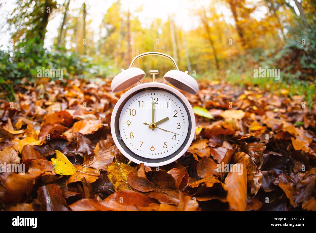World earth hour, alarm clock stands in the forest, turn off lights