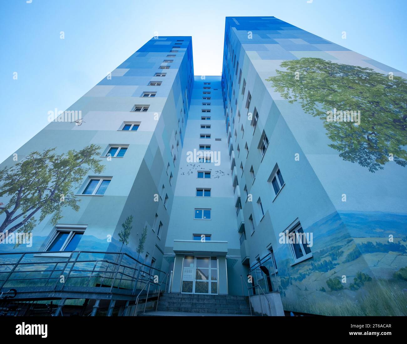 lovely rural German landscape mural streetart painting of a birch tree