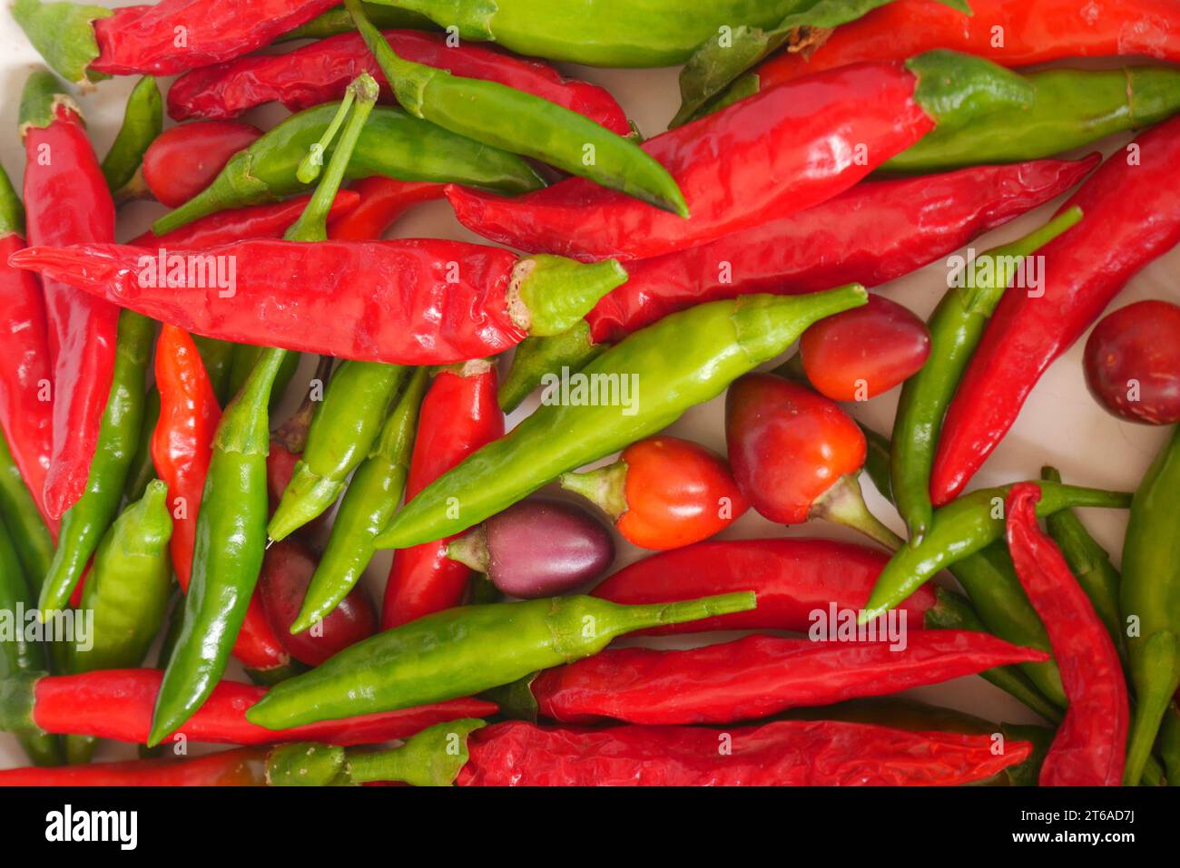 Red hot peppers assortment hi-res stock photography and images - Alamy
