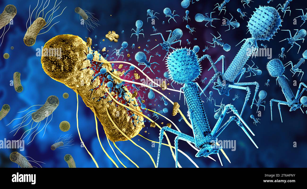 Phage and Bacteriophage replicating inside a pathogen as a virus that infects bacteria as a virology symbol as a pathogen that attacks bacterial Stock Photo
