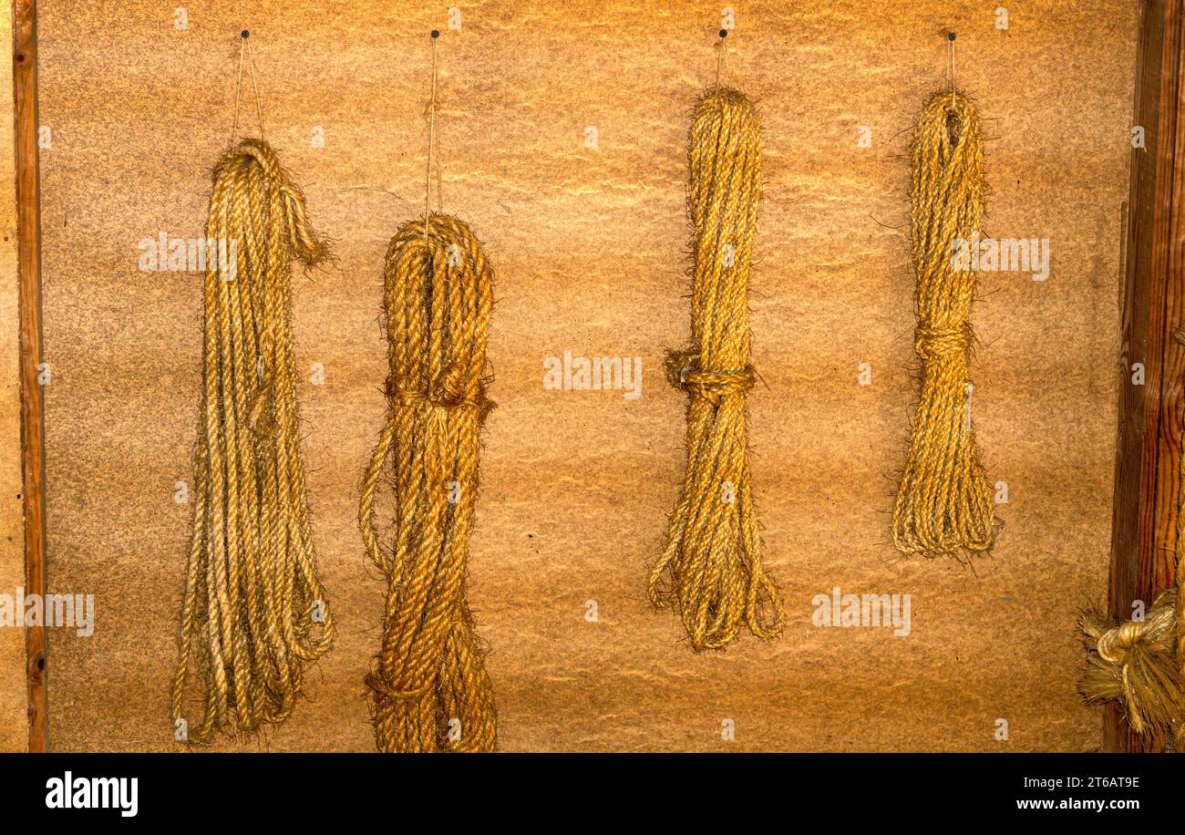 Ancient wood samples hi-res stock photography and images - Alamy
