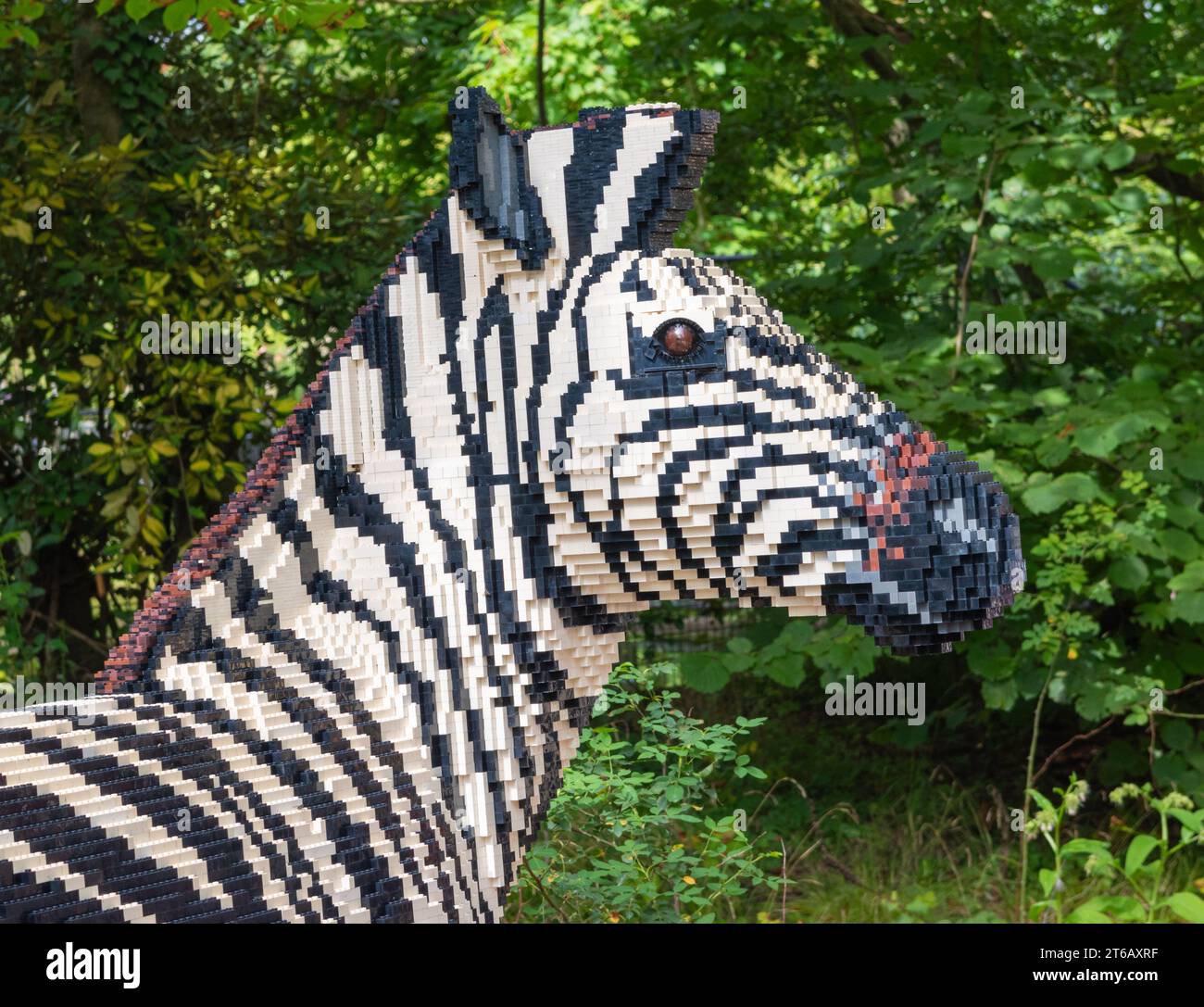 Zoo Planckendael, Mechelen, Belgium - Aug 29, 2023: Zebra built with Lego bricks. Brick Safari and Animal Expo. Stock Photo