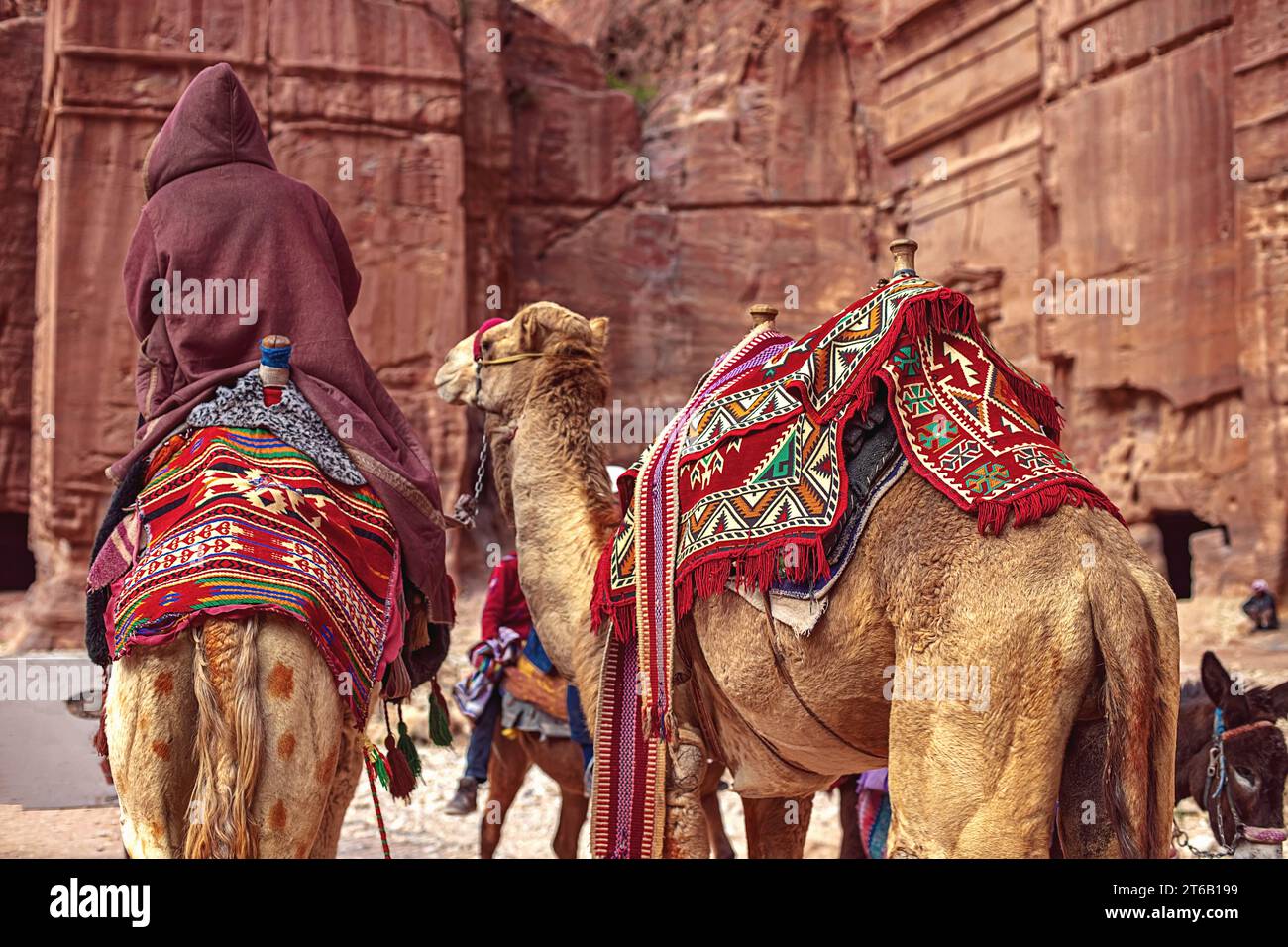 Tourists riding camels ride along the Siq Canyon and explore the attractions of the city of Petra, Jordan Stock Photo