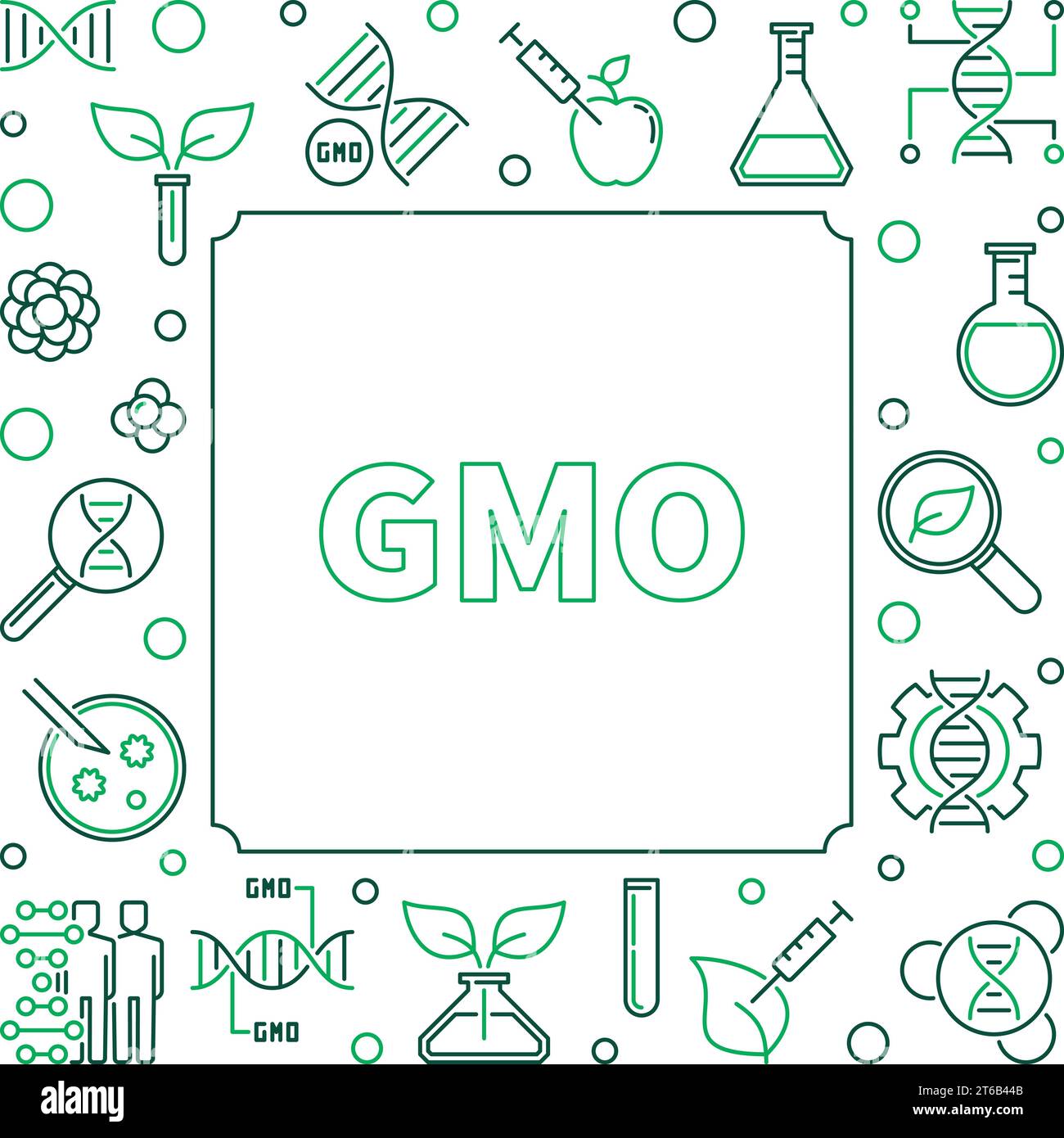 GMO square simple concept frame. Vector genetically modified organism illustration in thin line style Stock Vector