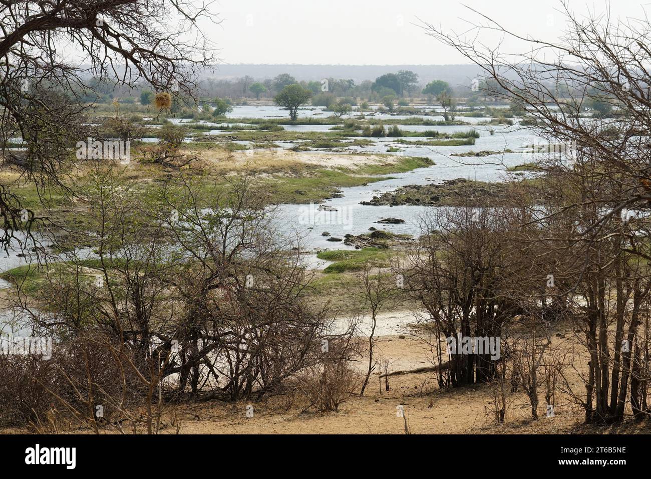 Zambezi River, Zambezi National Park, Zimbabwe, Africa Stock Photo - Alamy