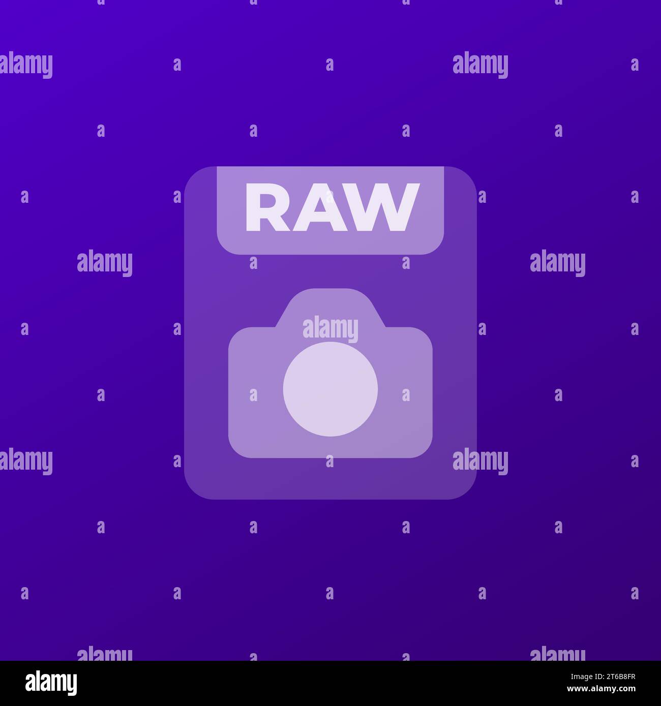 raw file icon with a camera, vector Stock Vector