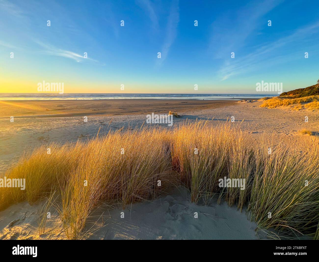 Sand Dunes on Beach at Sunset Stock Photo - Alamy