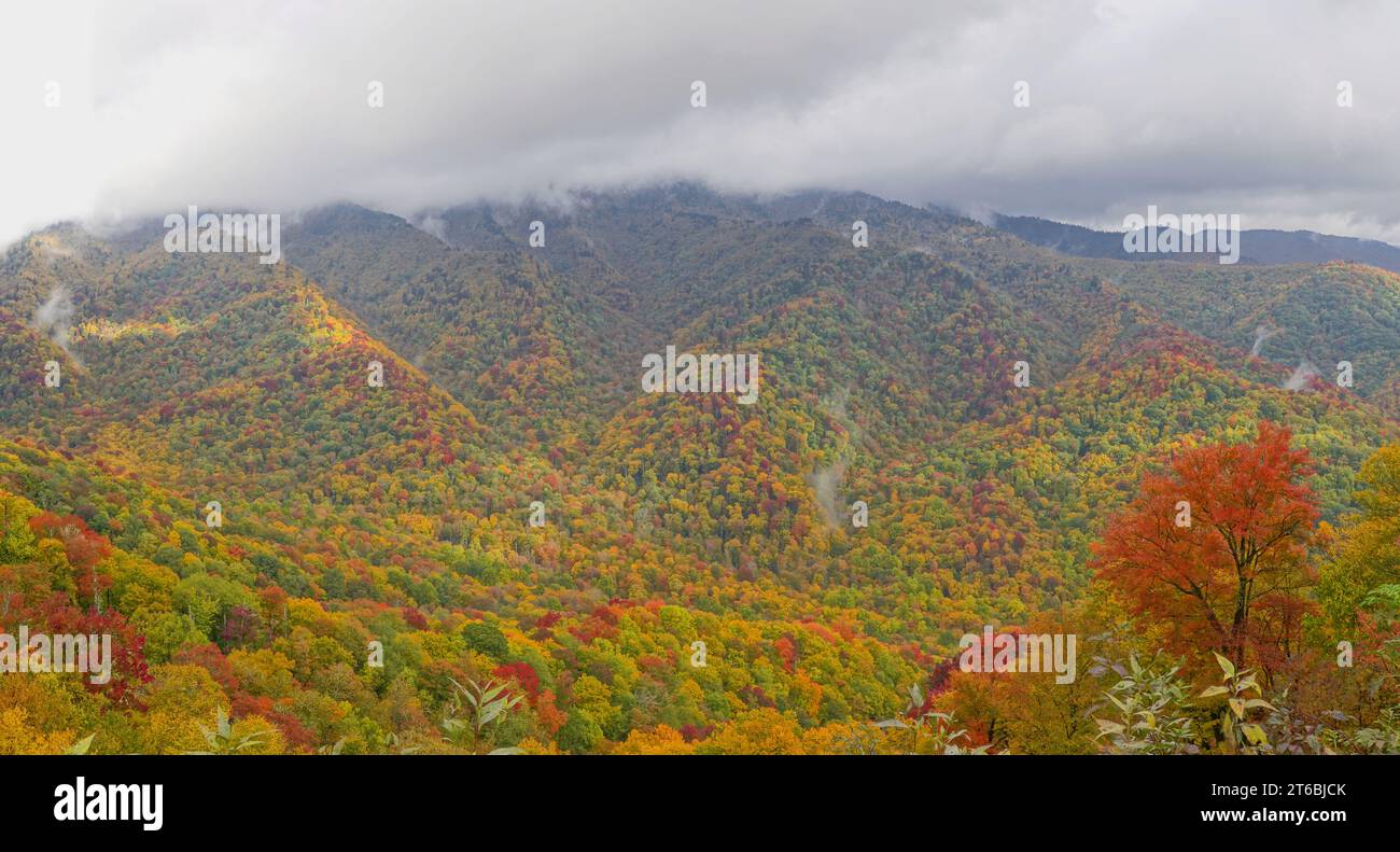 Fall colors under the clouds on the hillsides in Great Smoky Mountains National Park Stock Photo