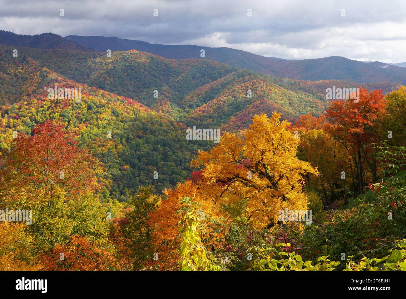 Vibrant Fall colors on the mountains in Great Smoky Mountains National Park Stock Photo