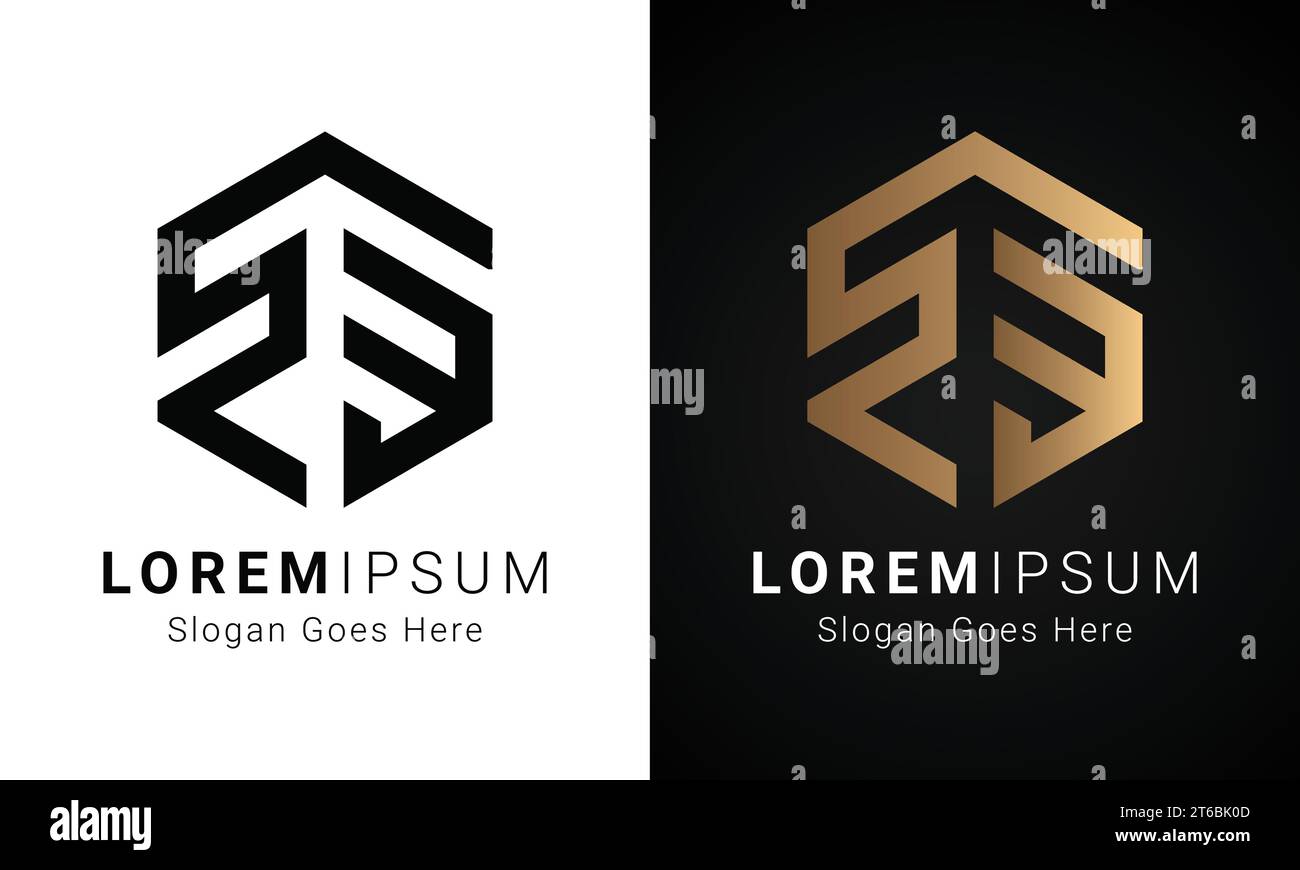 Luxury Initial BR or RB Monogram Text Letter Logo Design Stock Vector