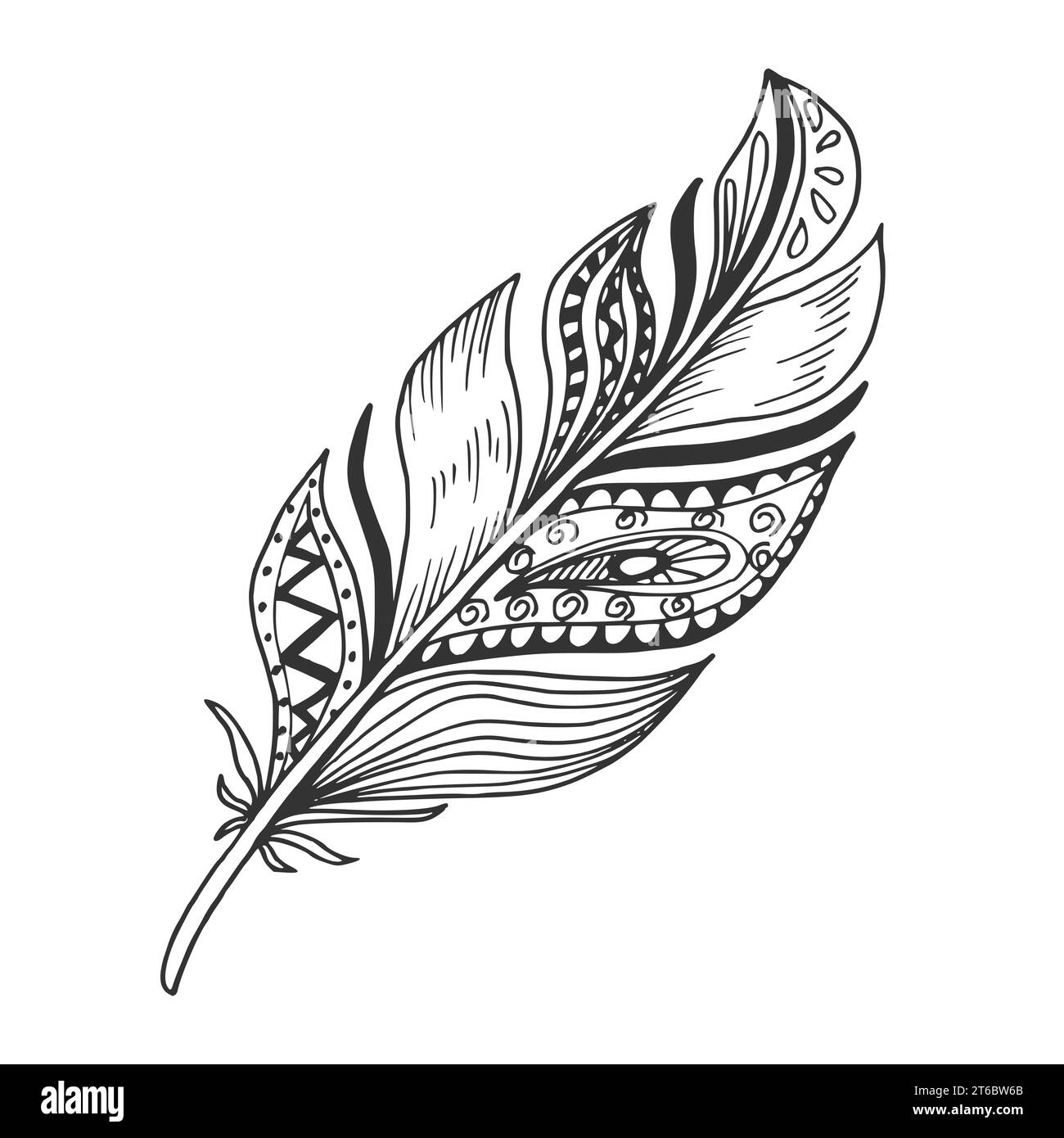 Beautiful hand drawn feather doodle, curly boho sketch isolated on ...