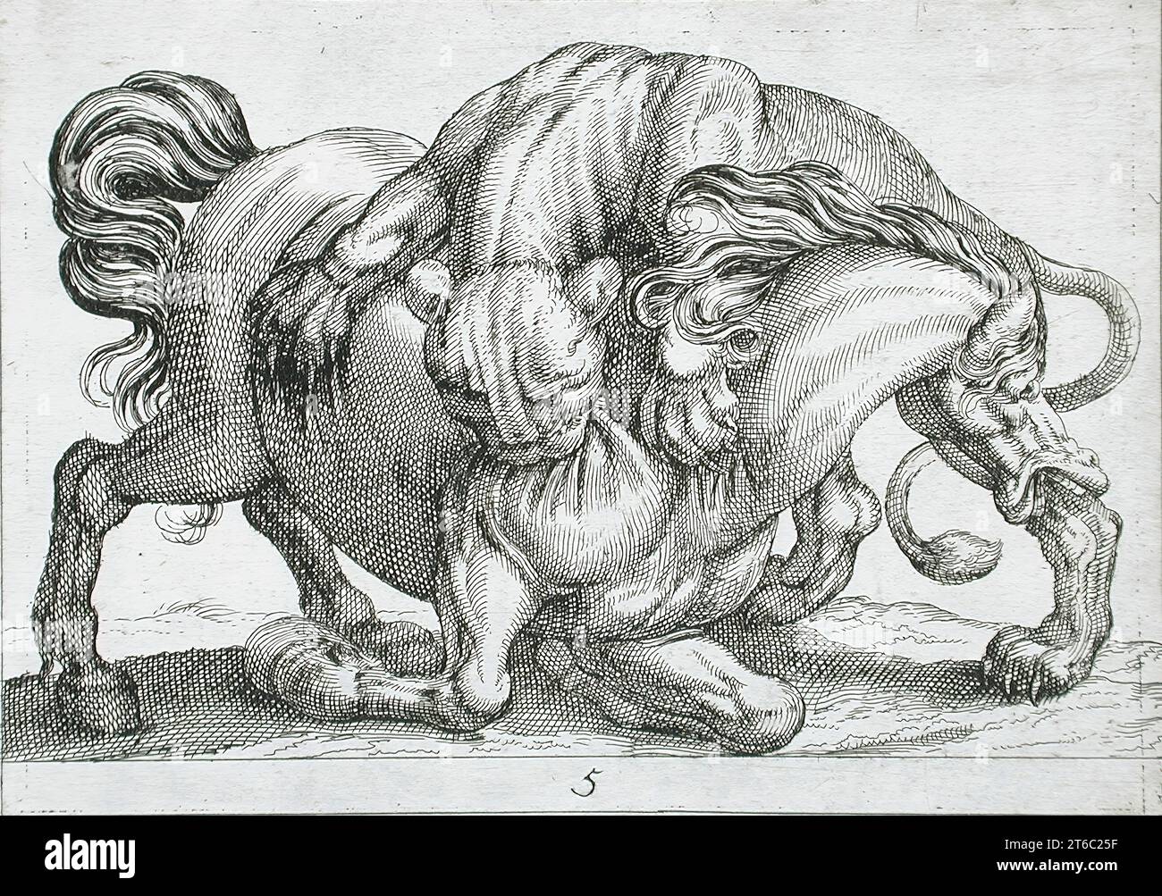 A Lion Attacking a Horse, 1610. From Battling Animals, pl. 5. Stock Photo