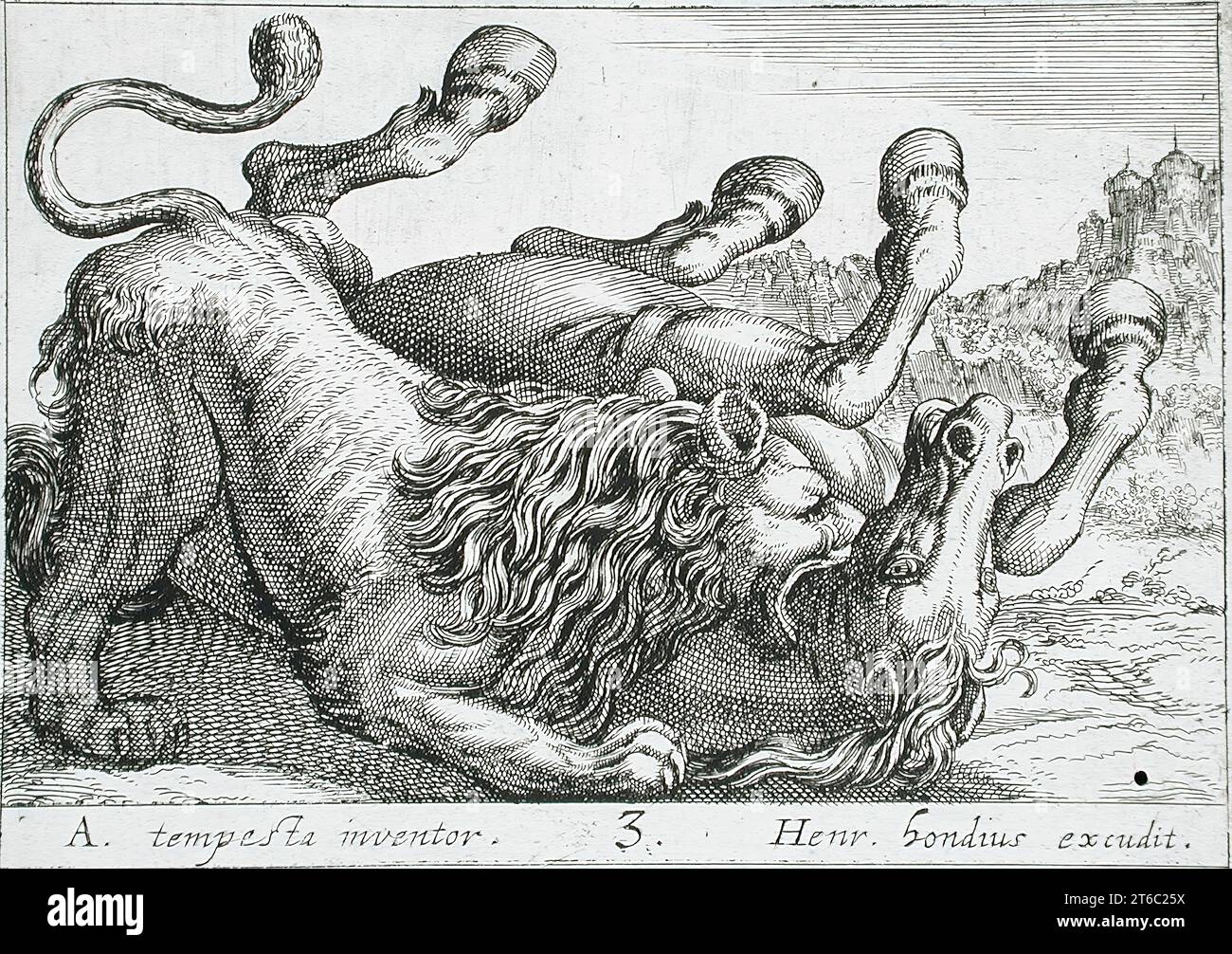A Lion Biting a Horse's Neck, 1610. From Battling Animals, pl. 3. Stock Photo