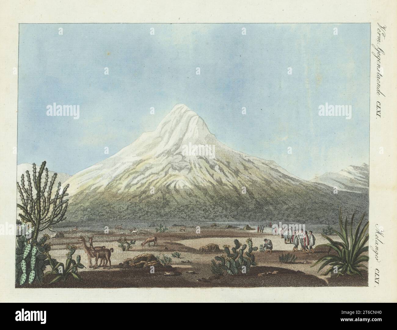 Chimborazo viewed from the Tapia plateau. Snow-capped inactive stratovolcano in the Andes. In the foreground, Native Americans tend to lamas, cactus, agave, etc. Chimborasso in South America. Copied from Alexander von Humboldt's Vues des Cordilleres, 1810. Handcoloured copperplate engraving from Carl Bertuch's Bilderbuch fur Kinder (Picture Book for Children), Weimar, 1810. A 12-volume encyclopedia for children illustrated with almost 1,200 engraved plates on natural history, science, costume, mythology, etc., published from 1790-1830. Stock Photo