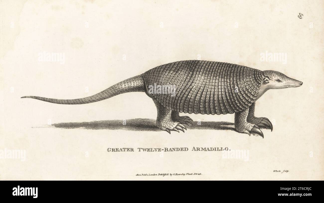 Under the Sea Digital Stamp - Sea Clipart / Sea Animals Clip Art / Kawaii  Sea Line Art / Kawaii Printable / Sea Doodles / Whale / Shark - Etsy, image size:1300x816