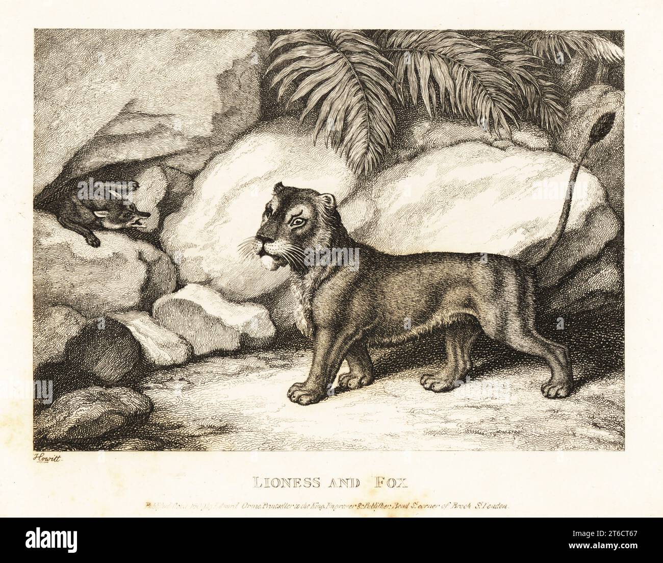 Fables of aesop hi-res stock photography and images - Alamy Fables of aesop hi-res stock photography and images - Alamy