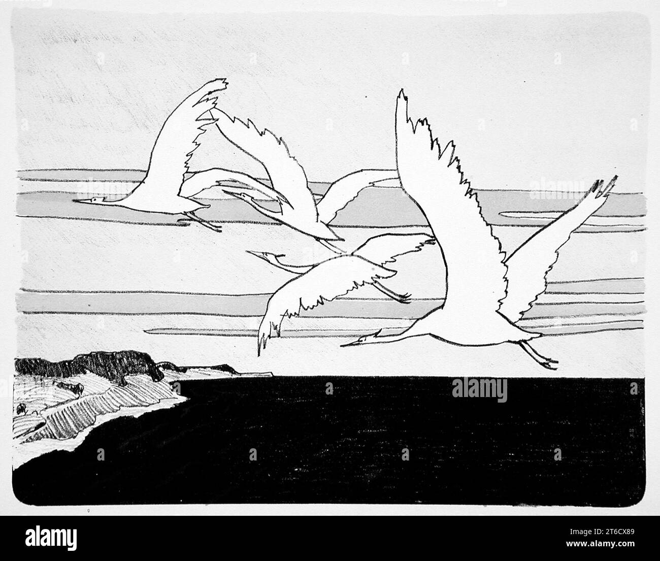 American cranes Black and White Stock Photos & Images - Alamy