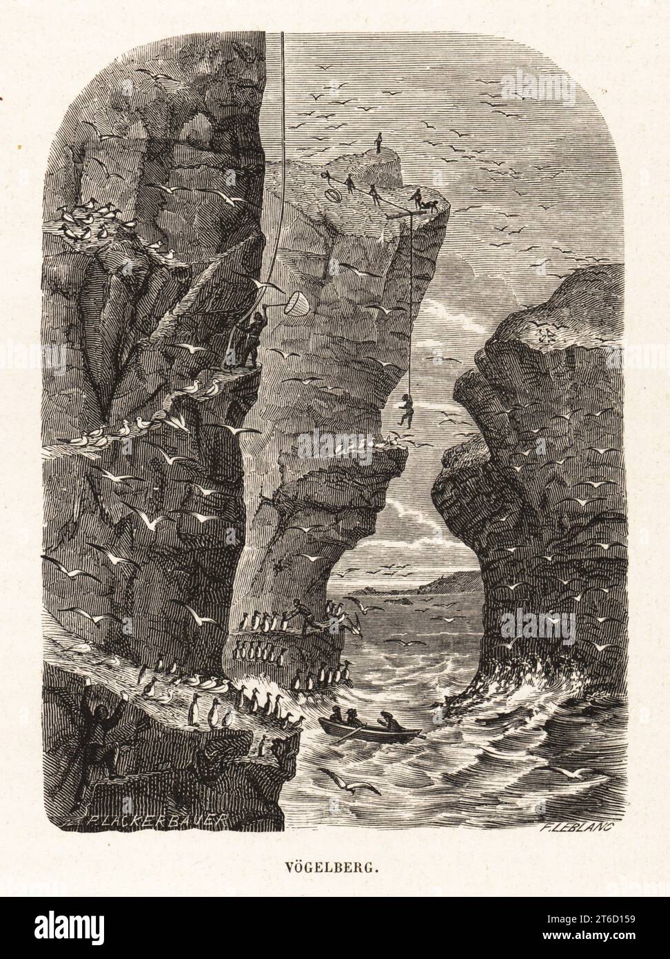 Hunters on St Kilda climbing cliffs to harvest eggs of marine birds such as the Northern fulmar, Fulmarus glacialis, and puffin, Fratercula arctica. Vogelberg. Woodcut by F. Leblanc after Pierre Lackerbauer from Alfred Fredols Le Monde de la Mer, the World of the Sea, edited by Olivier Fredol, Librairie Hachette et. Cie., Paris, 1881. Alfred Fredol was the pseudonym of French zoologist and botanist Alfred Moquin-Tandon, 1804-1863. Stock Photo