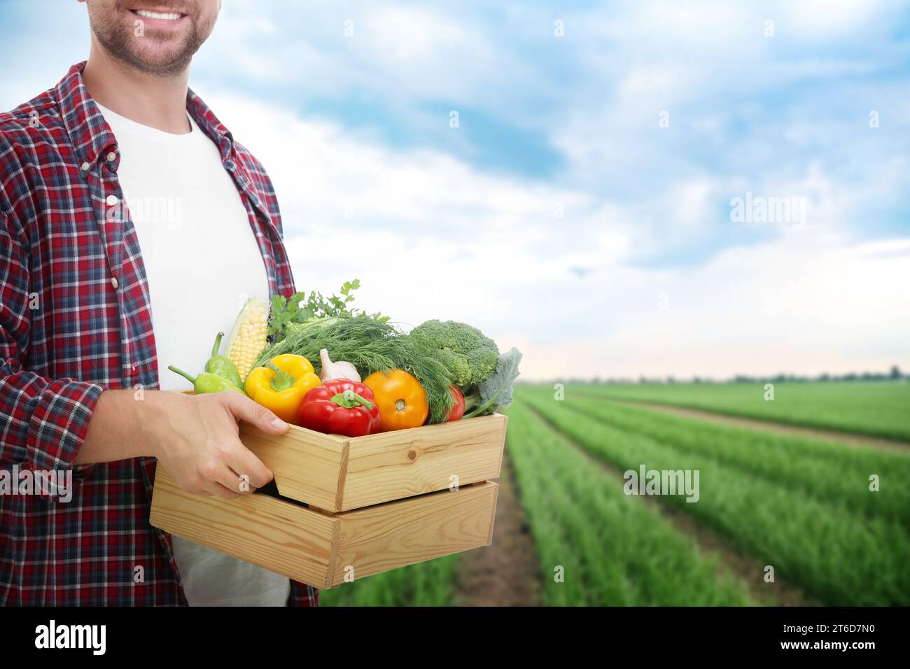 Harvesting season. Farmer holding wooden crate with crop in field ...