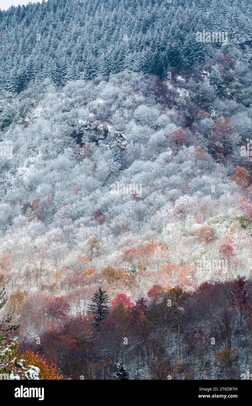 Fall and Winter in Pisgah National Forest in Western North Carolina