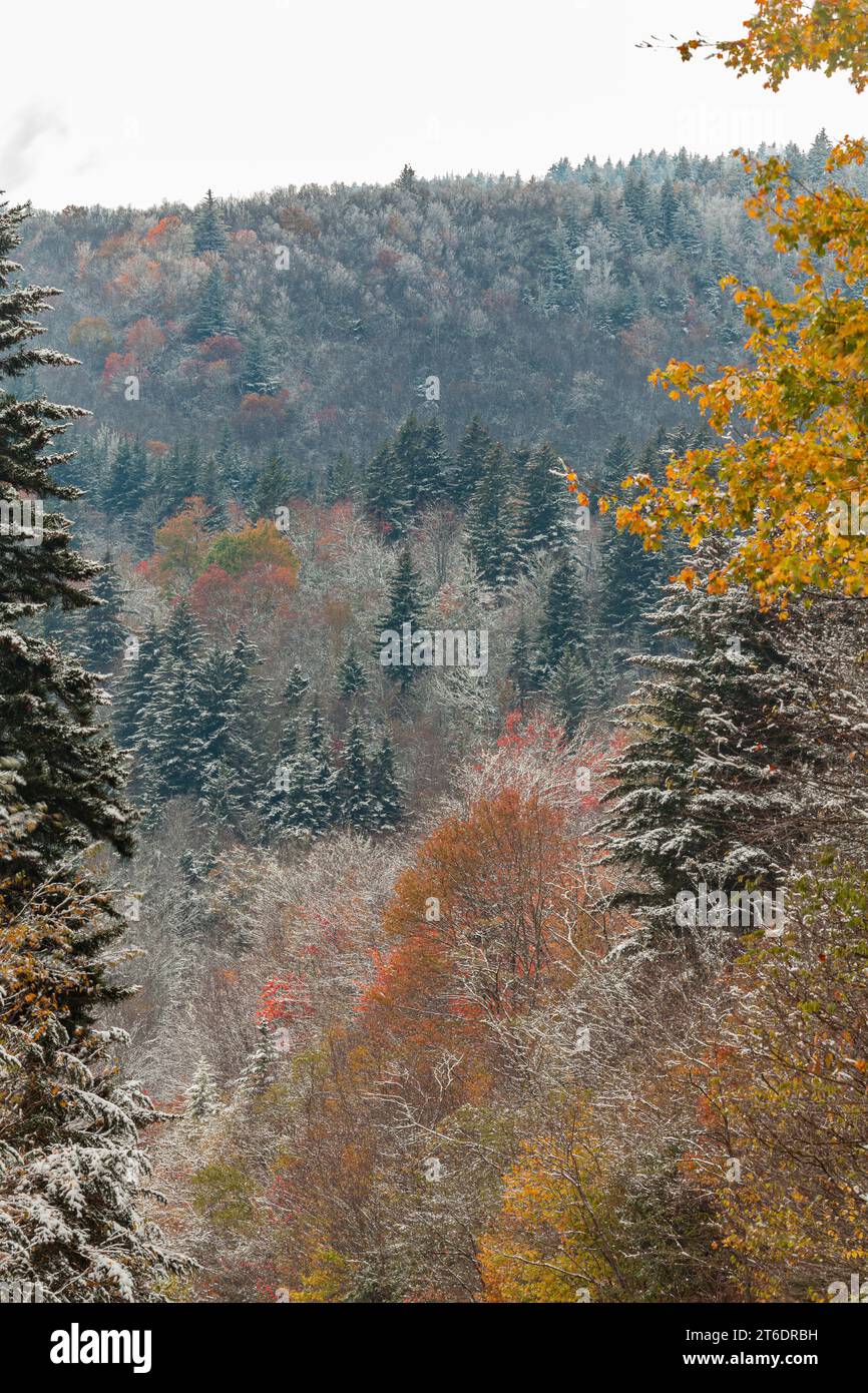 Fall and Winter in Pisgah National Forest in Western North Carolina