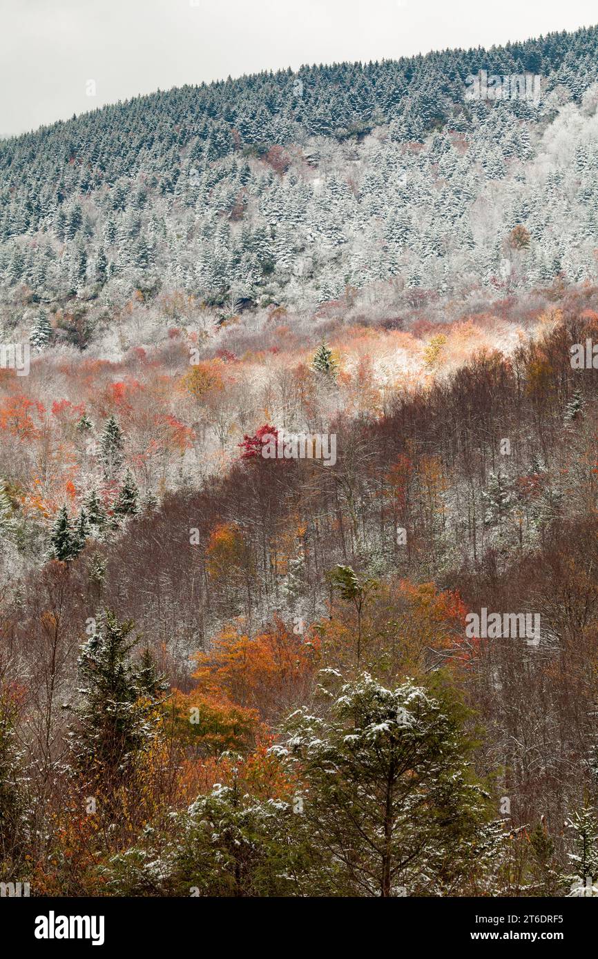 Fall and Winter in Pisgah National Forest in Western North Carolina