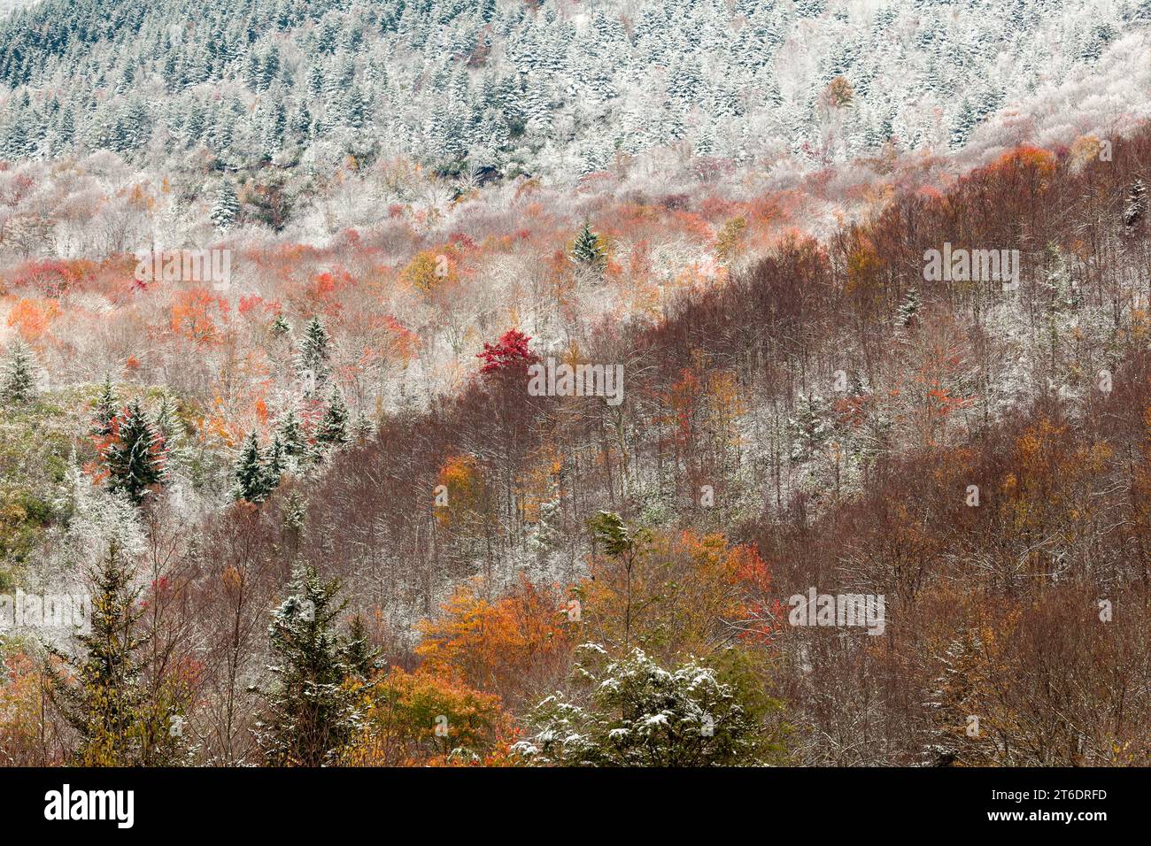 Fall and Winter in Pisgah National Forest in Western North Carolina