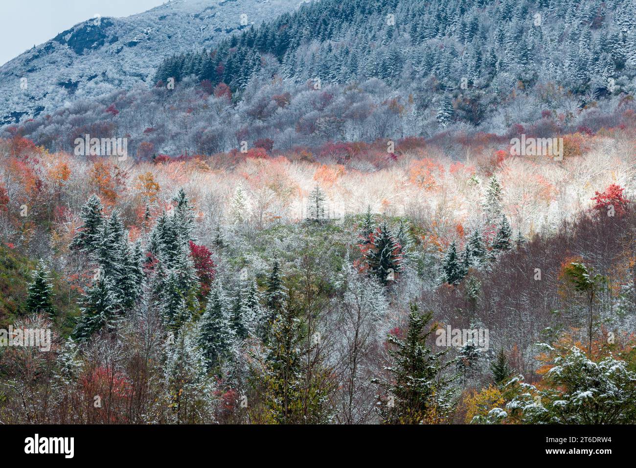 Fall and Winter in Pisgah National Forest in Western North Carolina