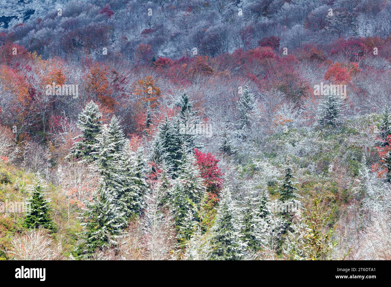 Fall and Winter in Pisgah National Forest in Western North Carolina