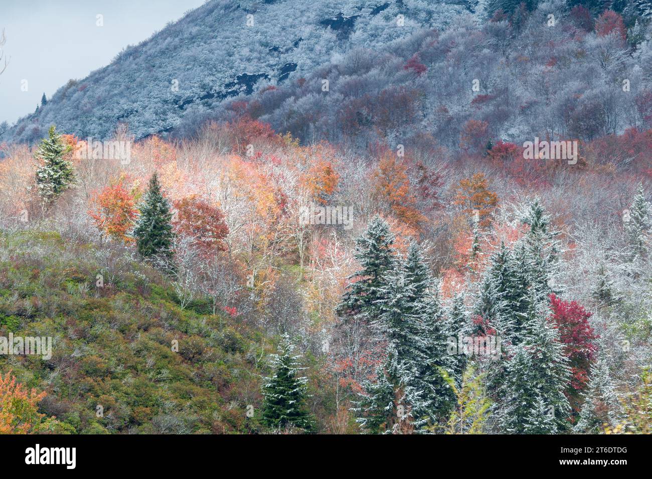 Fall and Winter in Pisgah National Forest in Western North Carolina