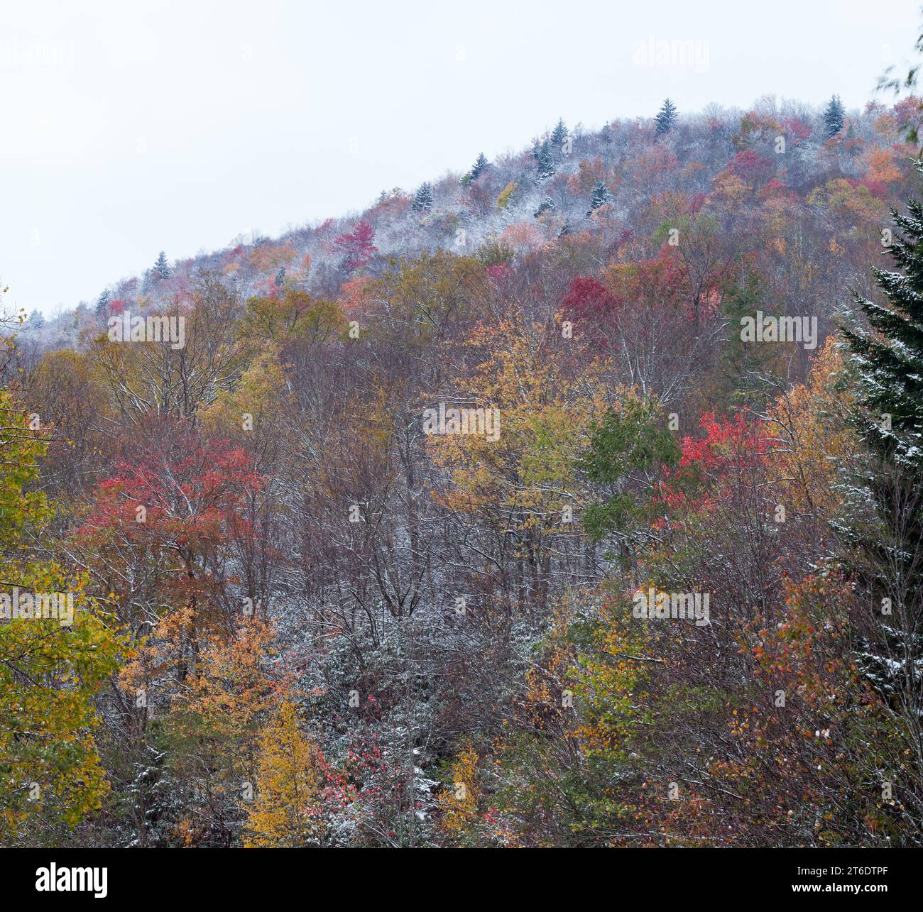 Fall and Winter in Pisgah National Forest in Western North Carolina