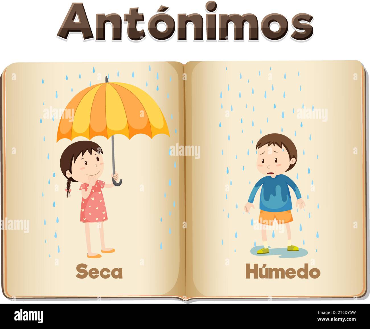 Illustrated word card in Spanish showing the antonyms Seca (dry) and