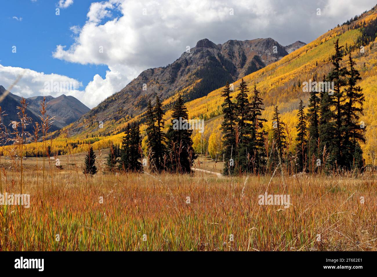 Fall turns the aspens among the mountains and tall grassland on the Alpine Loop. The Stock Photo