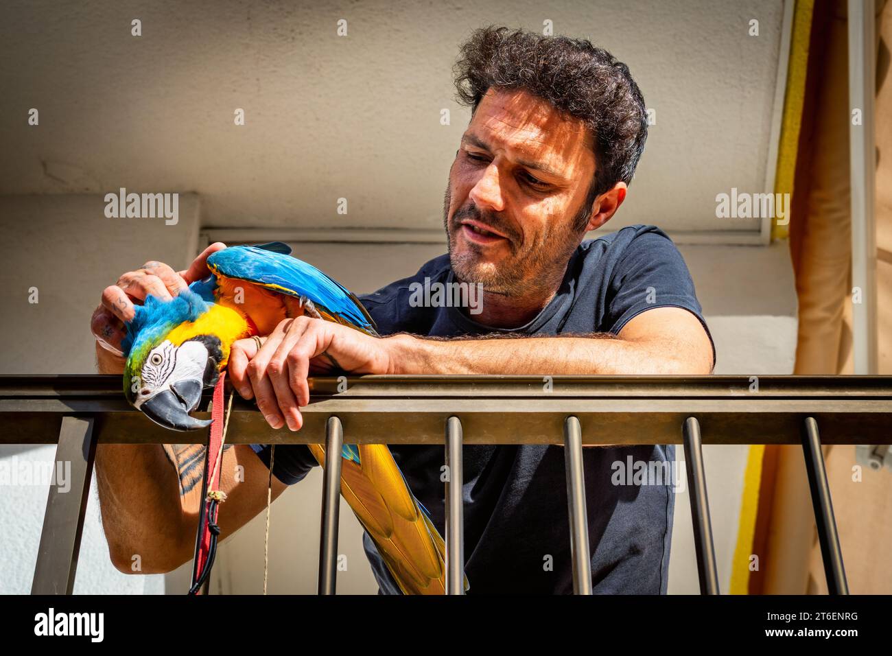 Man and his pet in the City of Benidorm on Costa Blanca, Alicante, Spain Stock Photo