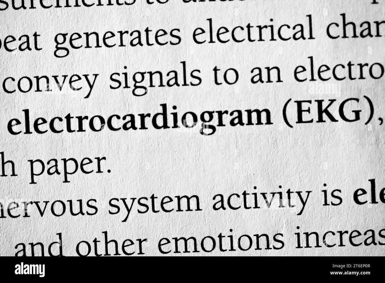 A closeup of the word 'electrocardiogram (EKG)' medical procedure term on a white page Stock Photo