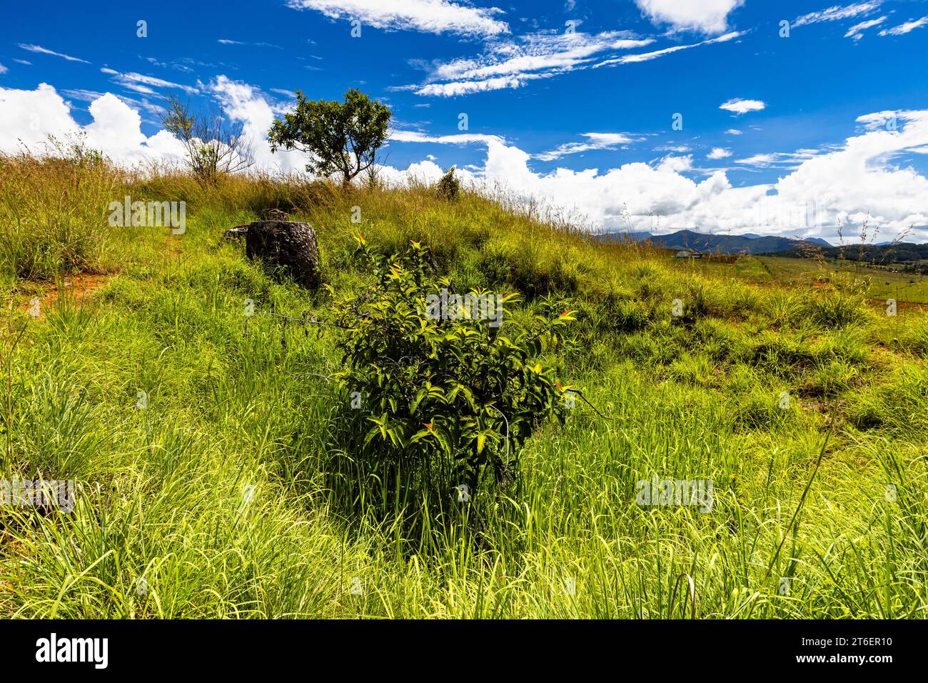 Plain of Jars(Jars plain), crater by air bomb, group 2 of site 1, Phonsavan, Xiangkhouang province, Laos, Southeast Asia, Asia Stock Photo