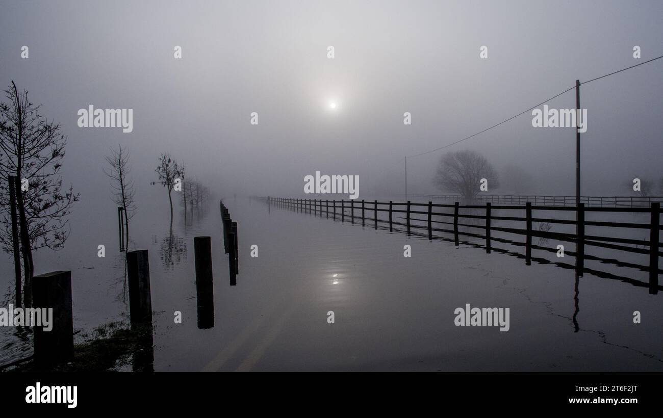 Fog shrouded trees along a road hi-res stock photography and images - Alamy