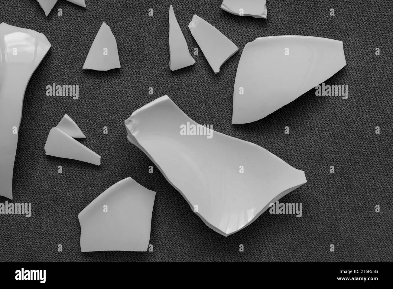 Splinters and Fragments of the broken white ware. Broken Plate, glass