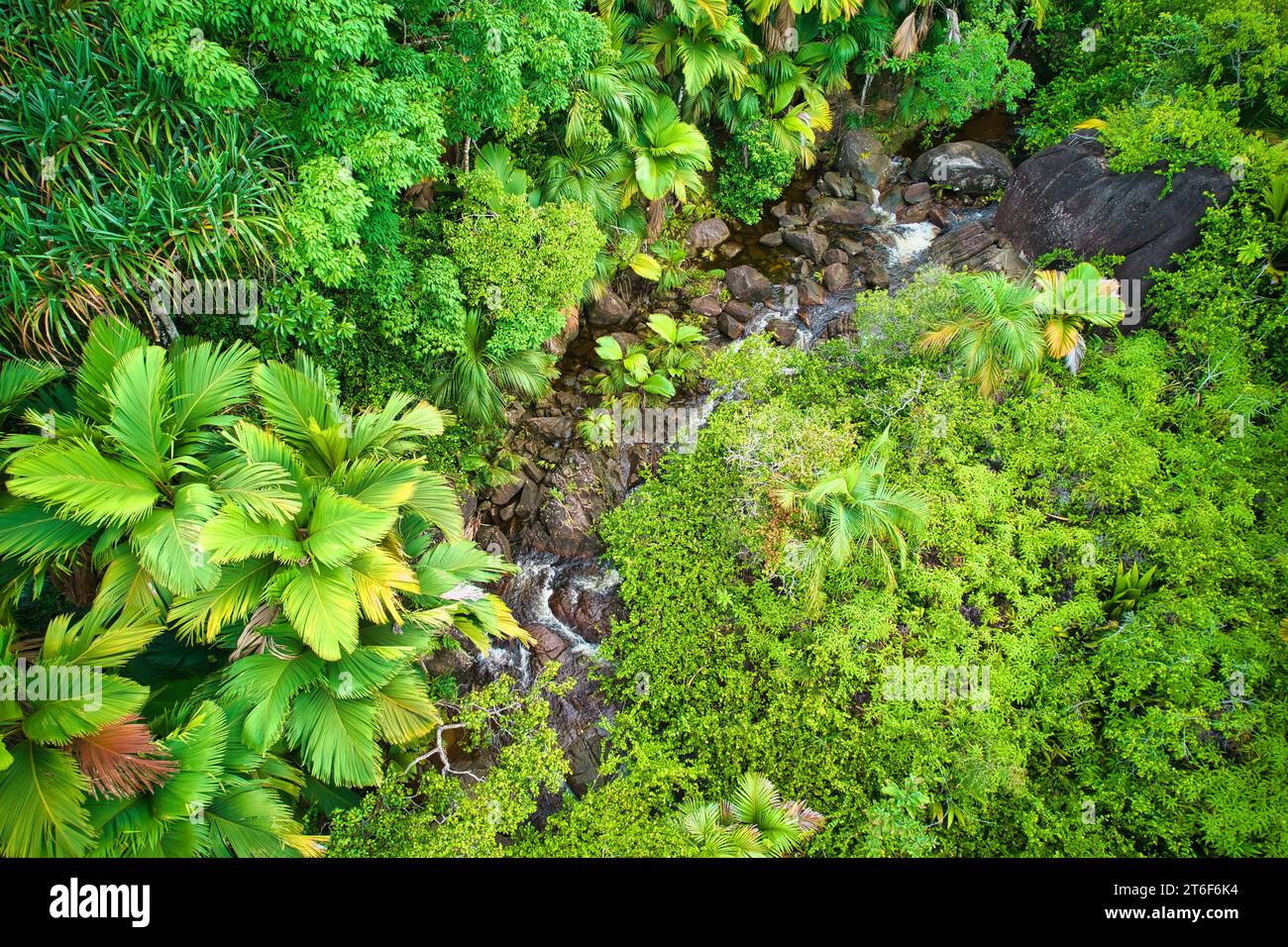 Drone photography of the upper part of Sauzier waterfall on, surrounded by lush forest, Mahe Seychelles Stock Photo
