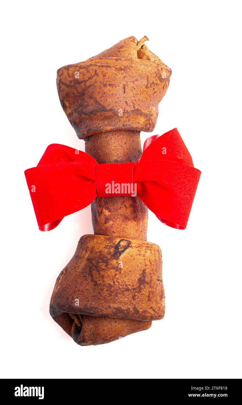 Dog bone bow hot sale tie