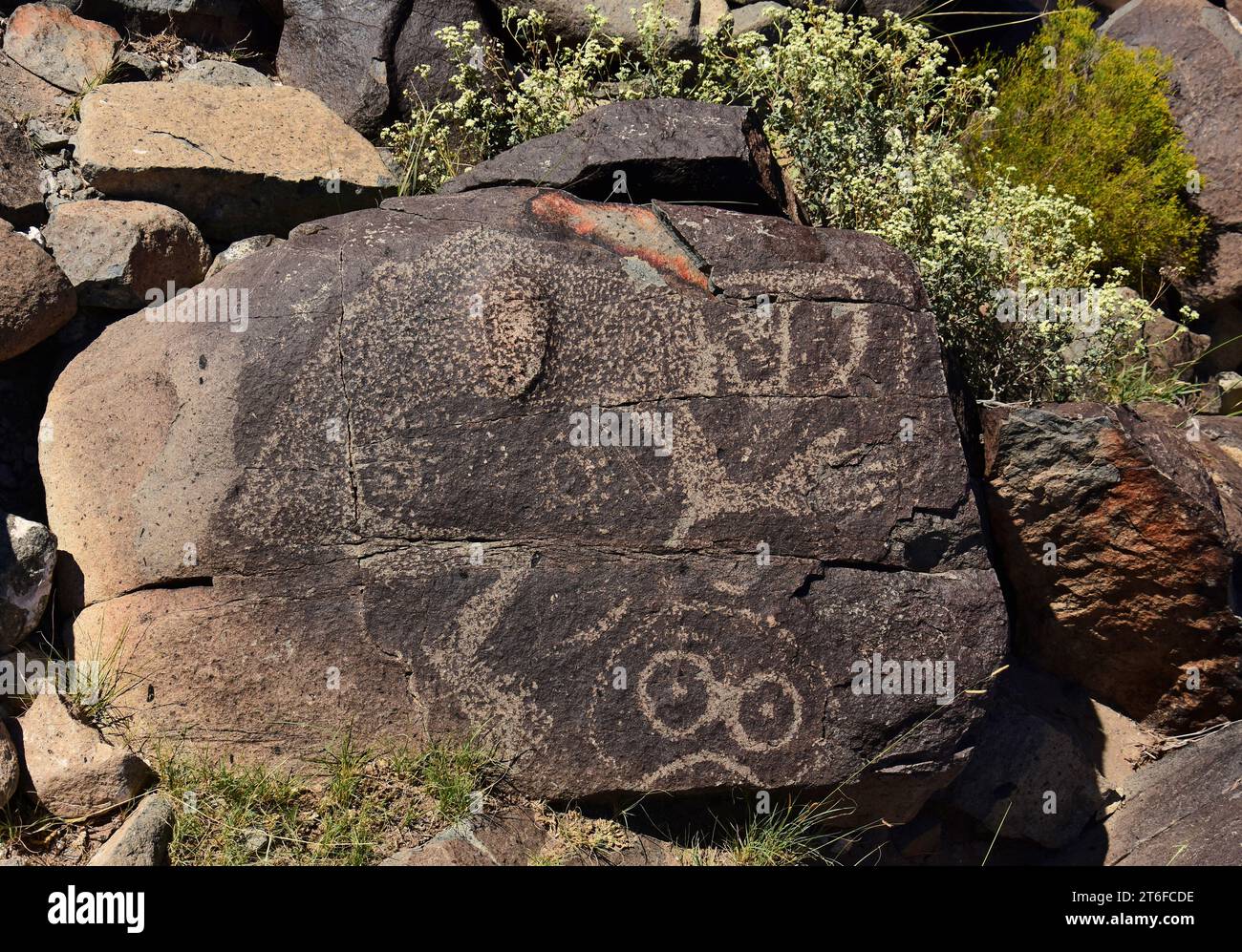 the ancient native jornada morgollon petroglyphs  on a sunny day at three rivers petroglyph site, near tularosa, new mexico Stock Photo
