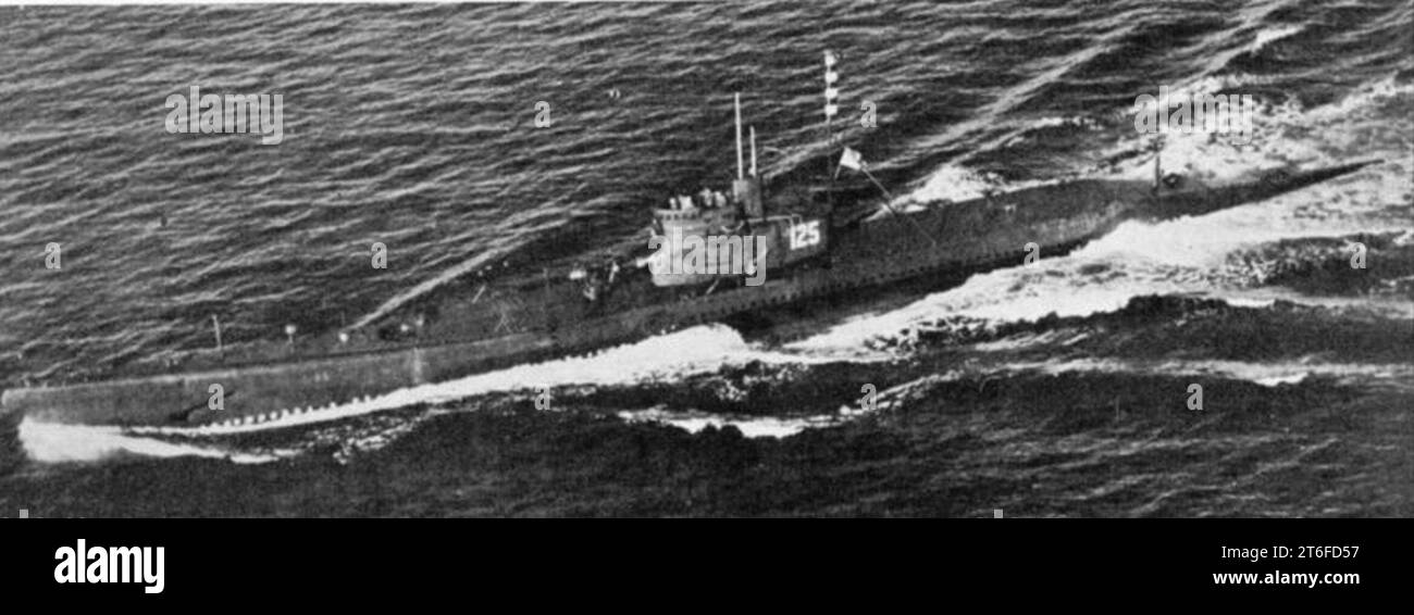 SS’25-20 main image 1