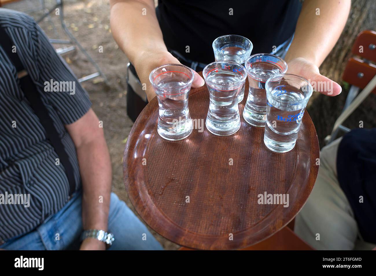 Five ouzo served on a tray in a Greek garden restaurant Bavaria, Germany Stock Photo