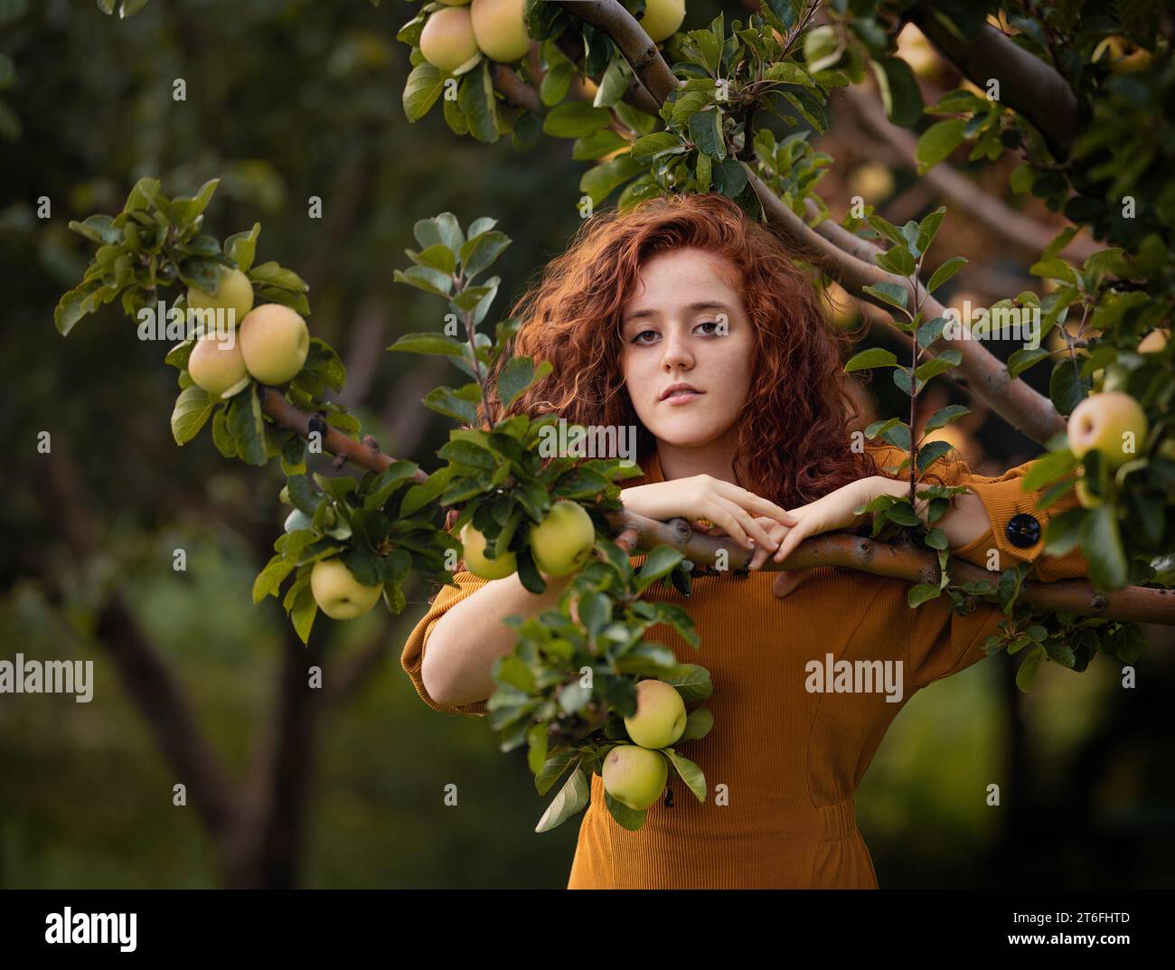 Portrait of a curly Beautiful girl in a red velvet dress and shawl posing in apple garden. Art work of romantic woman .Pretty tenderness model looking Stock Photo