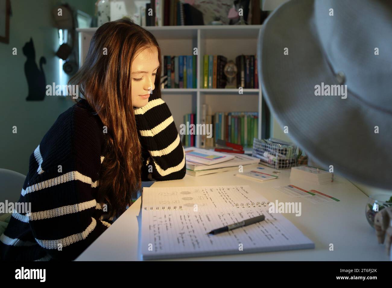 Teenage girl student revising using flashcards and notes at her desk Stock Photo