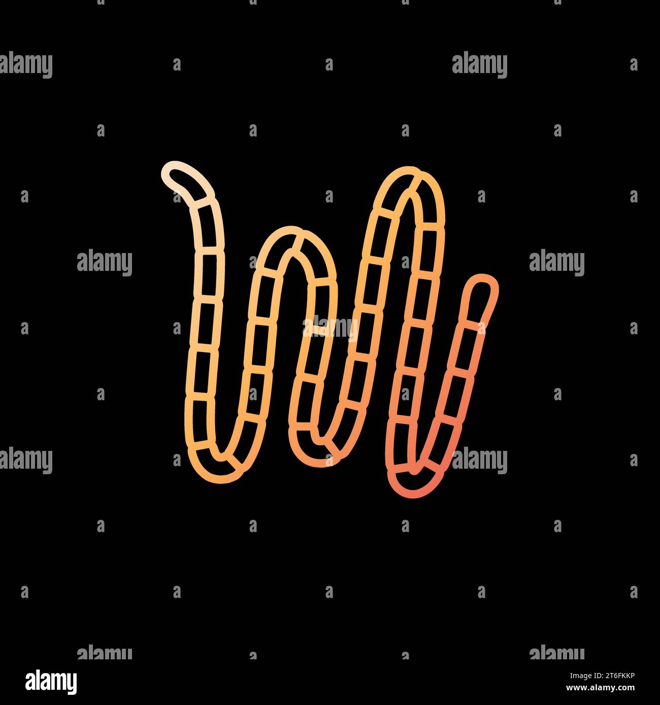 Cestoda Tapeworm vector concept yellow outline icon or symbol on dark background Stock Vector