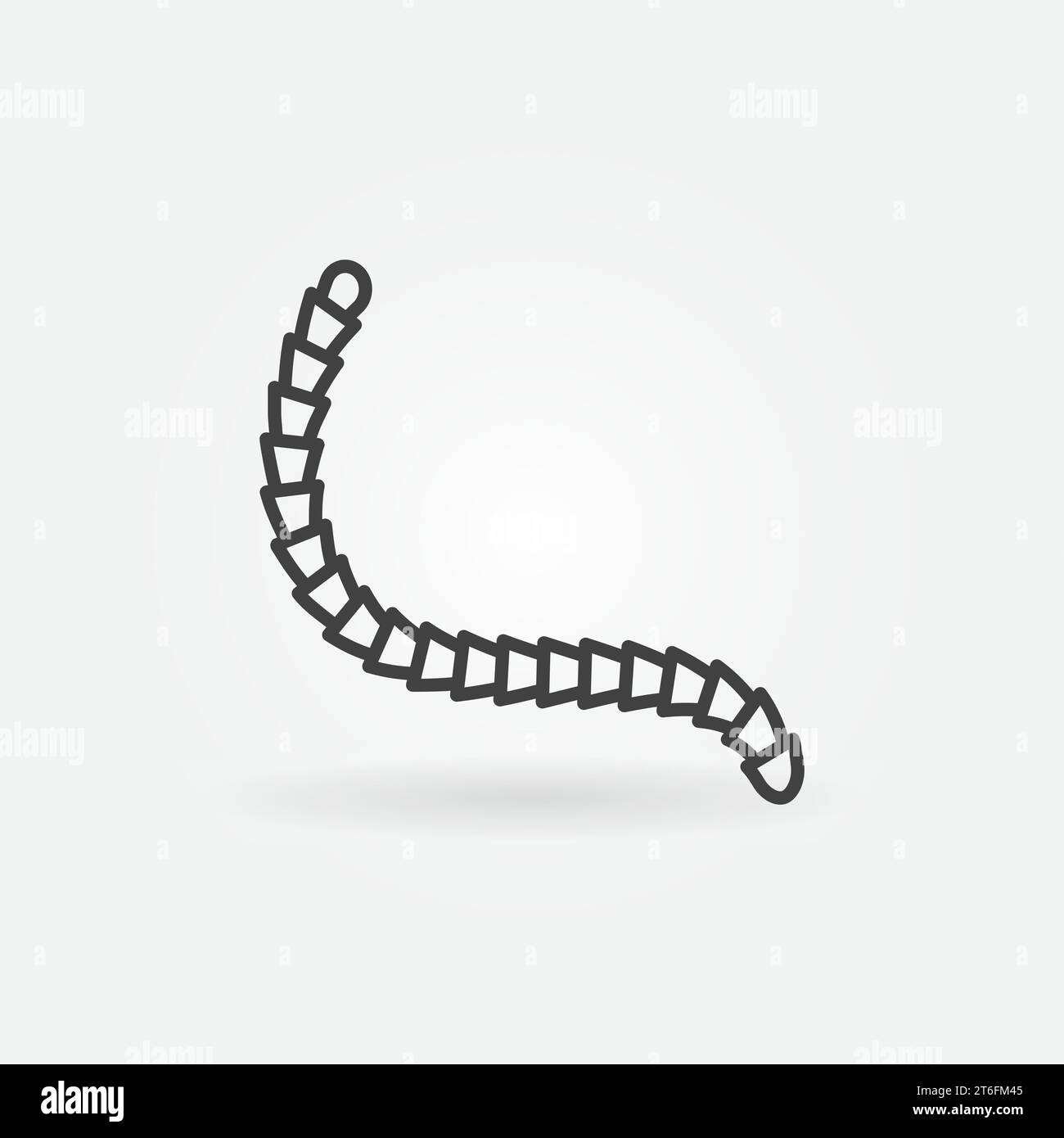 Cestoda vector thin line Parasitic Worms concept minimal icon or symbol Stock Vector