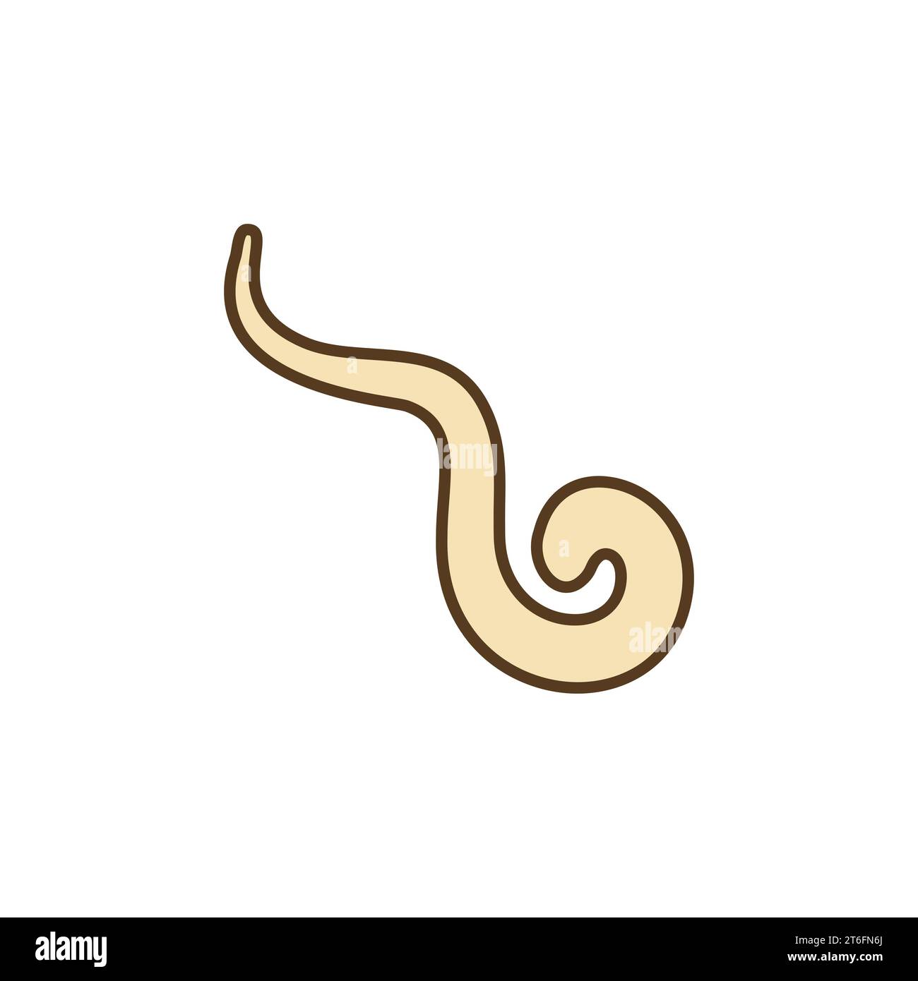 Pinworm vector concept colored icon or design element Stock Vector