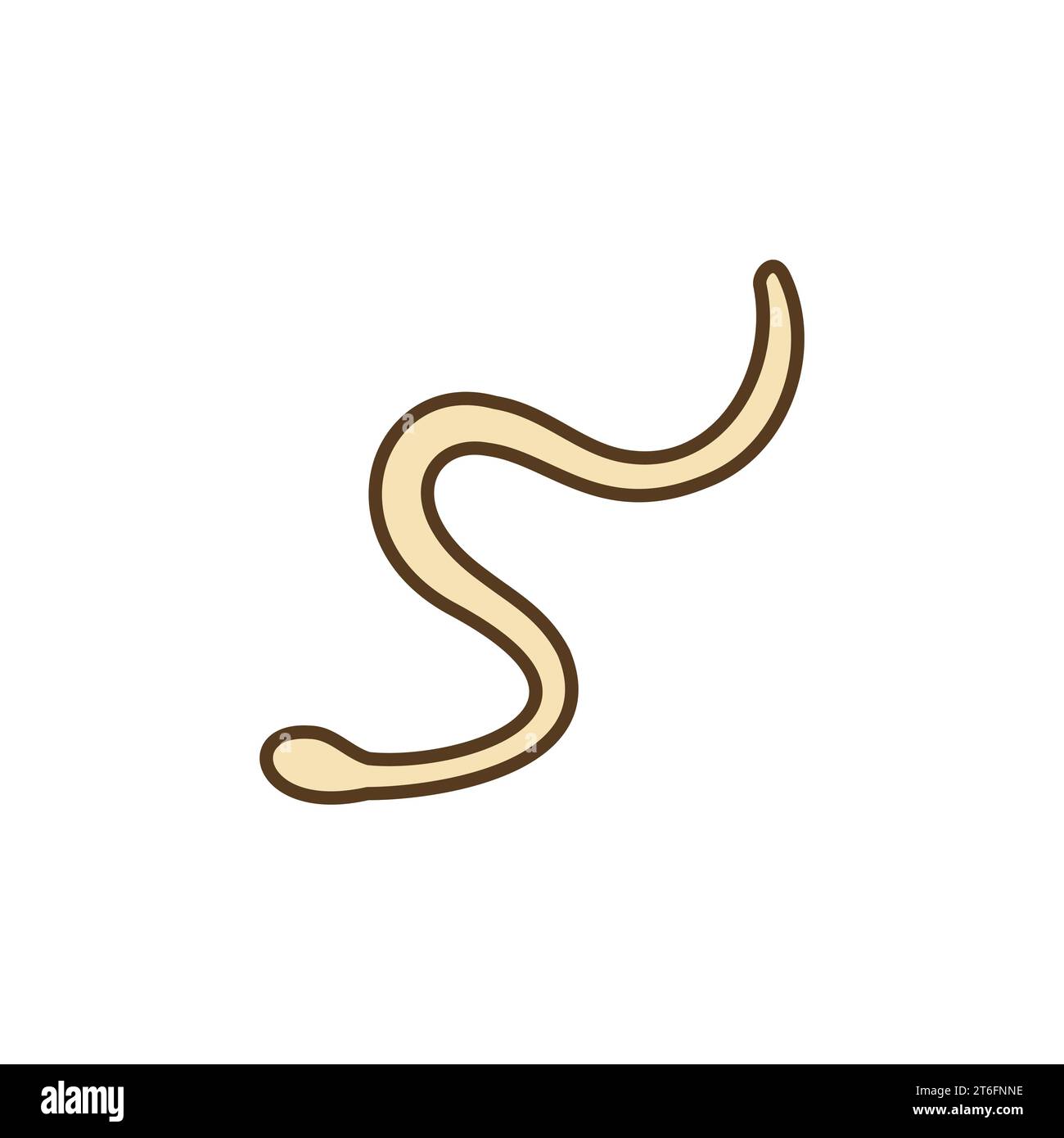 Roundworms Concept vector colored icon or design element Stock Vector
