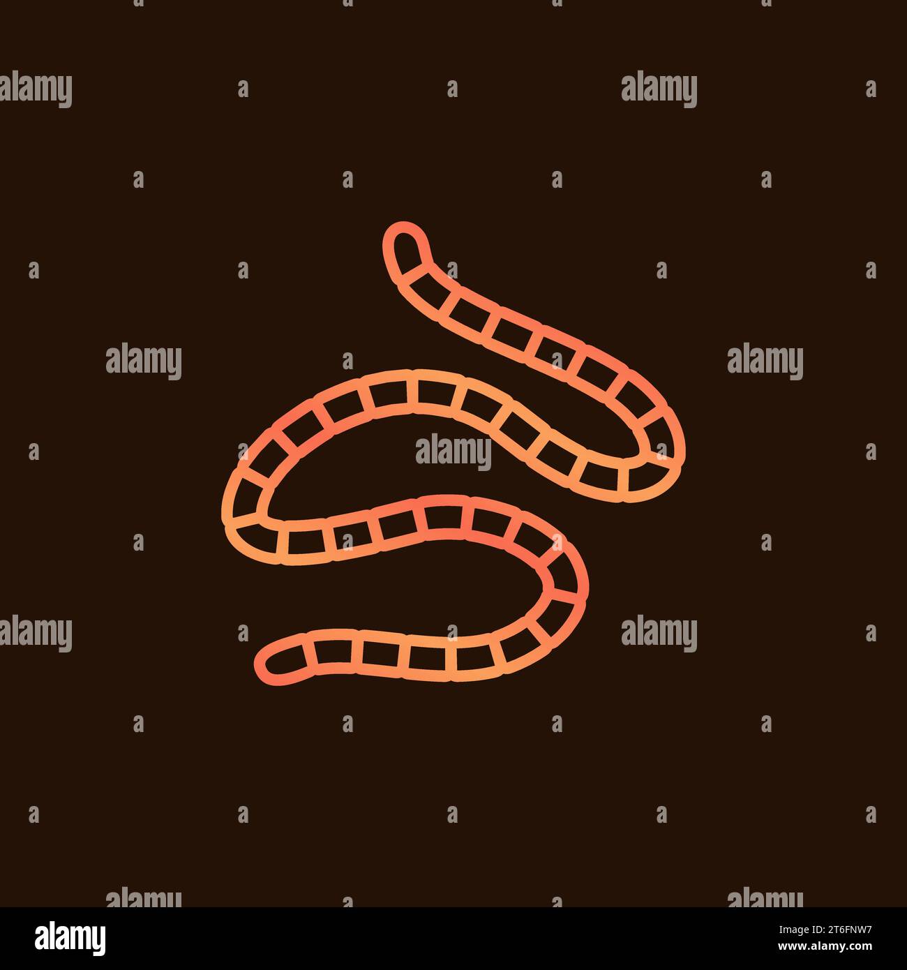 Roundworm vector concept colorful linear icon or sign on dark background Stock Vector
